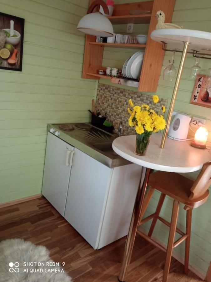 Villa Jurmala'S Center Mini House Esterno foto
